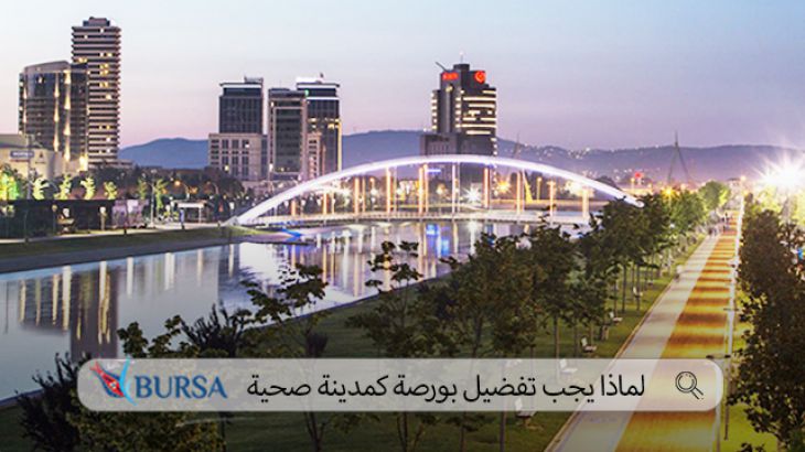 Bursa